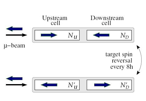 0 D d 0 D d 0 D u 0 D u N ' N ' N ' N ' Asymetria w oddziaływaniu ln: Al N 1 = Aexp PT P B f PT