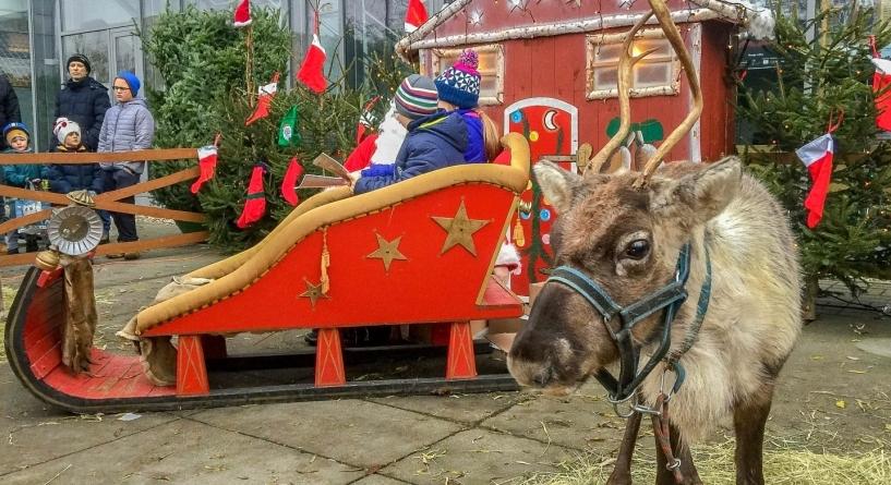 Gdzie na Mikołajki? Atrakcje na Ursynowie aż do niedzieli data aktualizacji: 2018.12.05 Mikołajki na Ursynowie to duże wydarzenie.