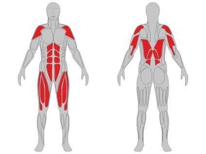 Informacje techniczne o urządzeniu fitness: Nazwa urządzenia: Poręcze podwójne Numer katalogowy: FW9 Zgodność z normami: PN-EN 16630:2015 Certyfikat: Na zgodność z norma PN-EN 16630:2015 Wydawca