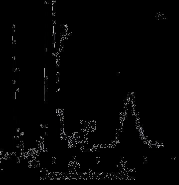 UV 254 nm chromatogram of chloroform extract from Drosera aliciae