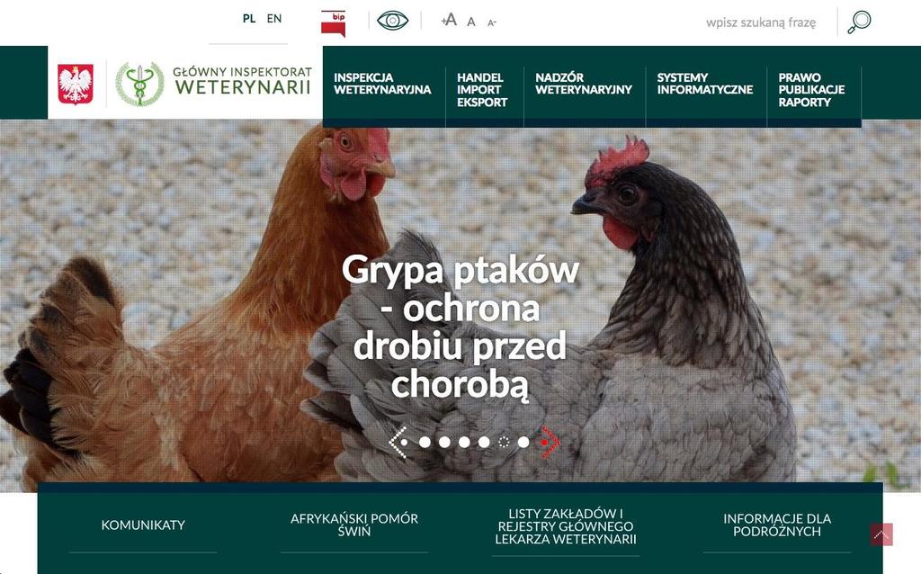 > Główny Inspektorat