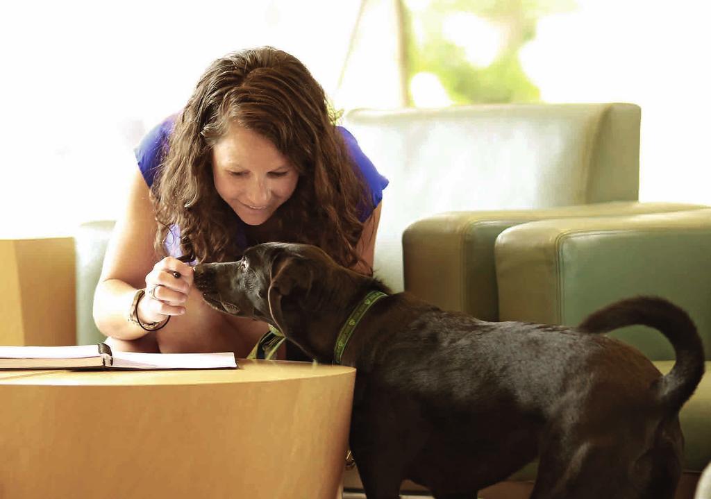 6 Pets POZWÓL NAM POMÓC W SPRAWIENIU BY TWOJE BIURO STAŁO SIĘ PRZYJAZNE ZWIERZĘTOM Od wielu lat gościmy psy w naszych biurach.