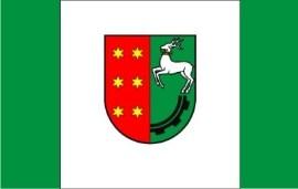 Wolontariat rodzinny, Ewolontariat, Pracownia Dobra Wspólnego, etc.