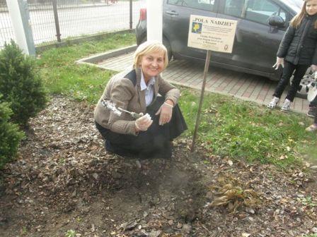 Listopad w Szkole Podstawowej nr 31 Pola Nadziei 29 października 2013 r.