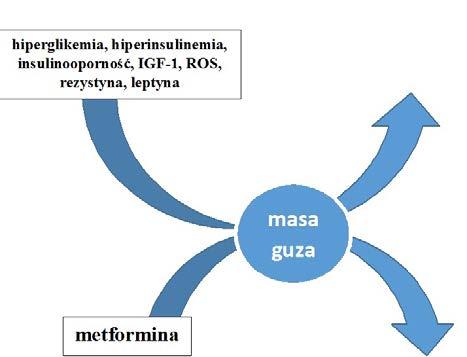 26 nowotworów α (TNF-α, ang. tumor necrosis factor alpha), interleukiny-6 i białka C-reaktywnego (CRP, ang. C-reactive protein) [40, 53, 54].