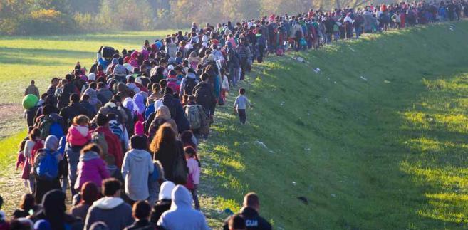 Cudzoziemcy w Polsce Statystki mówią, że w roku 2015 tytuł uchdźców w Polsce zyskało 42 osoby.