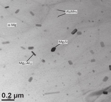 Mg 2 Si (o regularnej strukturze krystalicznej, a 0 = 0,635 nm). Rysunki 1 i 2 przedstawiaj struktur blach cienkich ze stopu magnezu AM50 z widocznymi wydzieleniami.