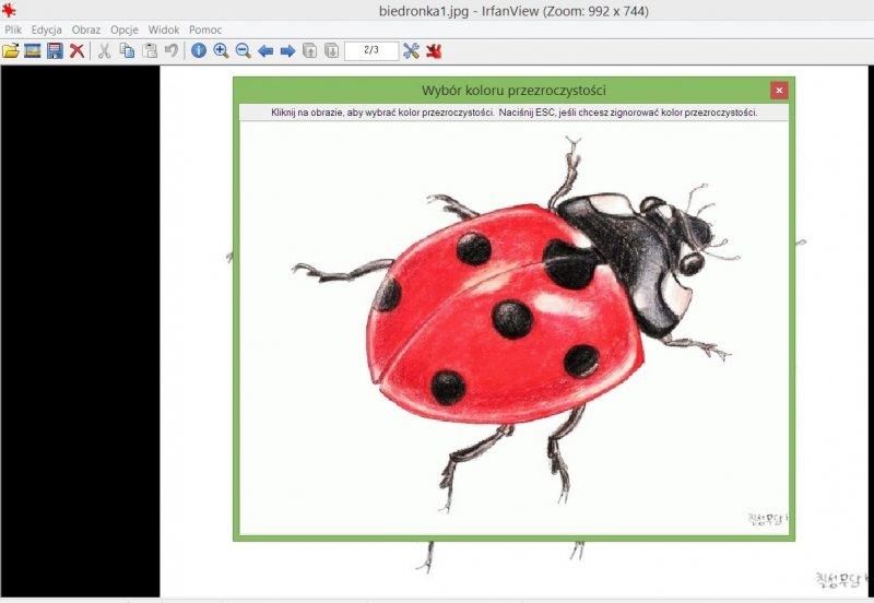 Wybieramy kolor klikając w białe tło, okienko zniknie i to wszystko. Odszukujemy plik biedronka1.