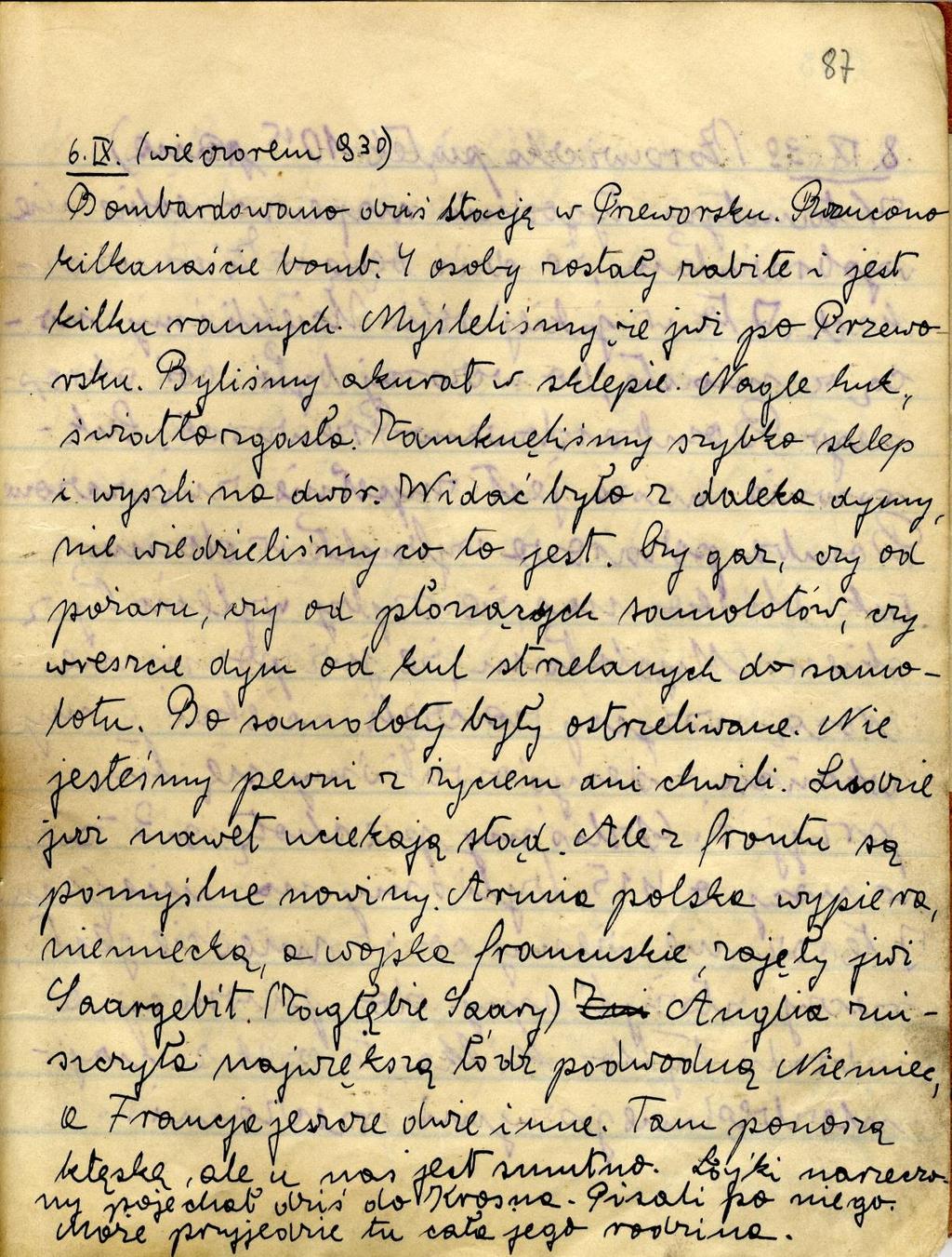 O pamiętniku Pamiętnik Basi Rosenberg został wydany pod nazwą,,dzienniczek Basi Rosenberg. Nie zachował się w całości.