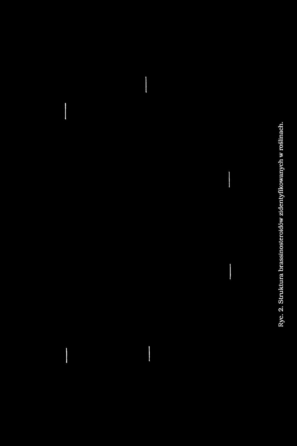 Ryc. 2.