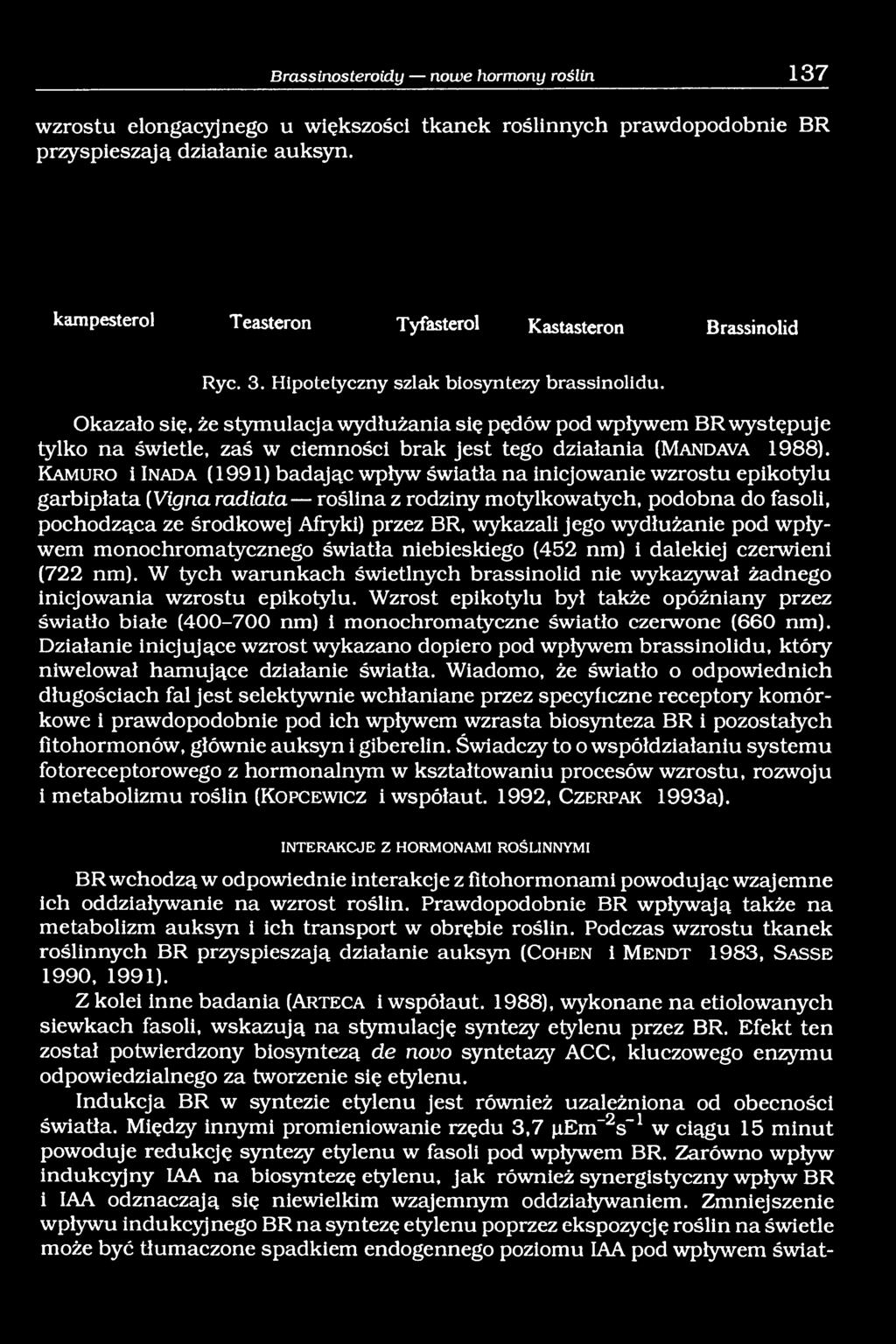 Okazało się, że stymulacja wydłużania się pędów pod wpływem BR występuje tylko na świetle, zaś w ciemności brak jest tego działania (Mandava 1988).