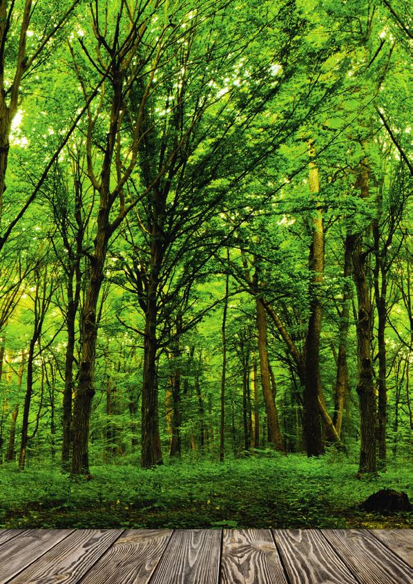 ecoplus funkcja energooszczędna łatwa aktywacja