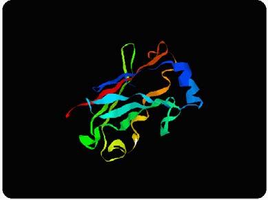 all-atom representation