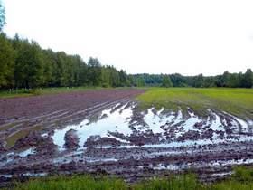 mineralnych w zależności od: Jakości gleby Osiąganych plonów Poplonów i