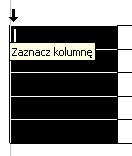 Zaznaczanie tabeli Zaznaczenie całej kolumny polega na najechaniu kursorem w odpowiednie miejsce (kursor zmieni swój kształt na charakterystyczną czarną pionową strzałkę) i kliknięciu LPM (cała