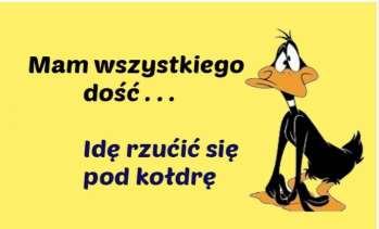 samochodem lub autobusem K komórkę mam marki Huawei L lubię spędzać czas z rodziną M mama powtarzała mi szanuj ludzi N nieciekawa lekcja, gdy byłam w szkole historia O czym marzę o spokojnym życiu P