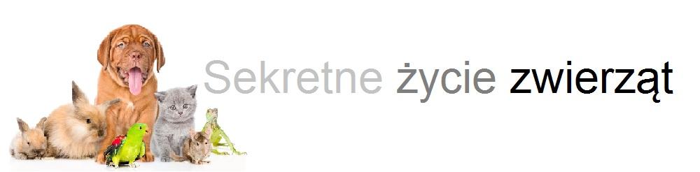 www.nowiny24.pl Nowiny Numer 10 10/2017 Strona 5 Sekrety świata zwierząt, to stały dział, w którym Zuzia Chmiel pokazuje dziwne, zabawne i przerażające zwierzęta.