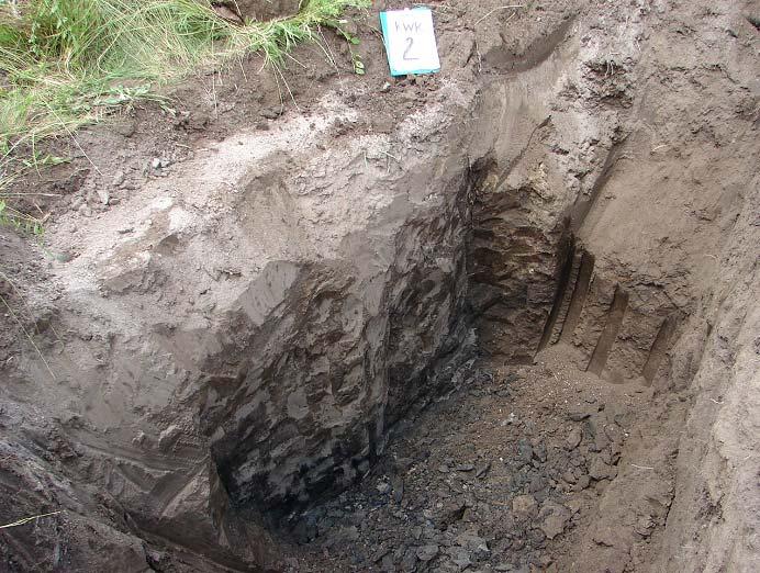 J. Rycharska, M. Borys: Wpływ warunków termiczno-wilgotnościowych na wytrzymałość 225 Fot. 2. Widok przegrody przeciwfiltracyjnej w obwałowaniu Kanału Wieprz-Krzna po 4 latach eksploatacji (fot. M. Borys) Photo 2.