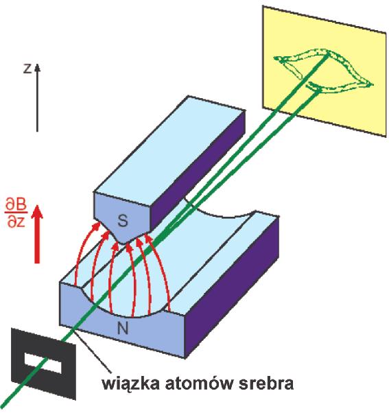 skolimowana (szczliny) wi zka at. Ag w pró ni (st. podst.: 5s S /, l=) obsrwacja obrazu wi zki na okinku aparatury db r r w nijdnor. polu mgt. oddz. z dipolm mgt.