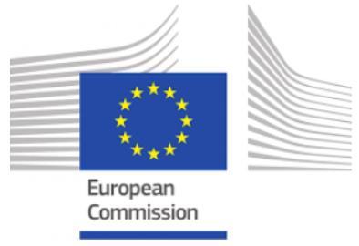 INSTYTUCJE ZARZĄDZAJĄCE PROGRAMEM ERASMUS+ Komisja Europejska (KE) Narodowa
