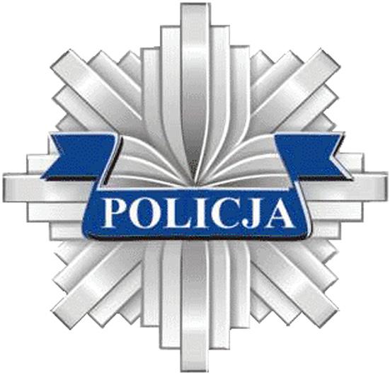 Geneza znaku Symbolem kojarząym się z poliją jest niezmiennie odznaka poliyjna, która w sposób dowolny jest stosowana w identyfikaji wizualnej poliji.