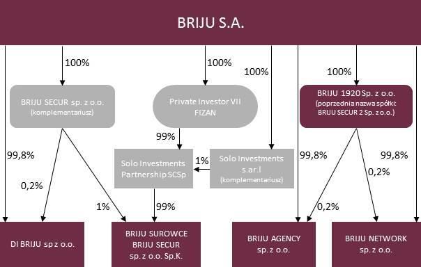 Struktura Grupy Kapitałowej. Schemat Grupy Kapitałowej BRIJU S.A. na dzień 31 marca 2017r.: W dniu 1 grudnia 2016 roku Zarząd BRIJU S.A. podjął uchwałę w sprawie określenia zasad realizacji kolejnego etapu zmian organizacyjnych w Grupie Kapitałowej BRIJU S.
