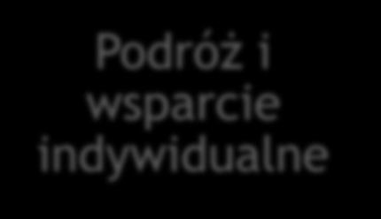 Przesunięcia pomiędzy kategoriami budżetu 100 % wsparcia