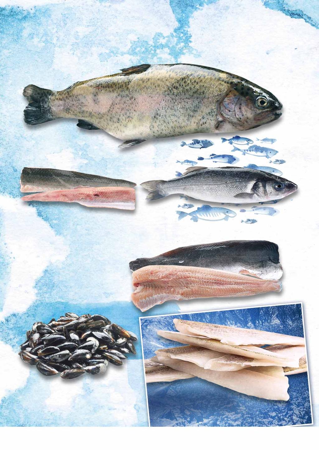 Ryby i owoce morza PSTRĄG TĘCZOWY PATROSZONY gramatura ok. 250/400 g 26232884 9105 18.99 z VAT 19.94 JESIOTR FILET ZE SKÓRĄ gramatura ok. 300/500 g 52245149 9338 56.