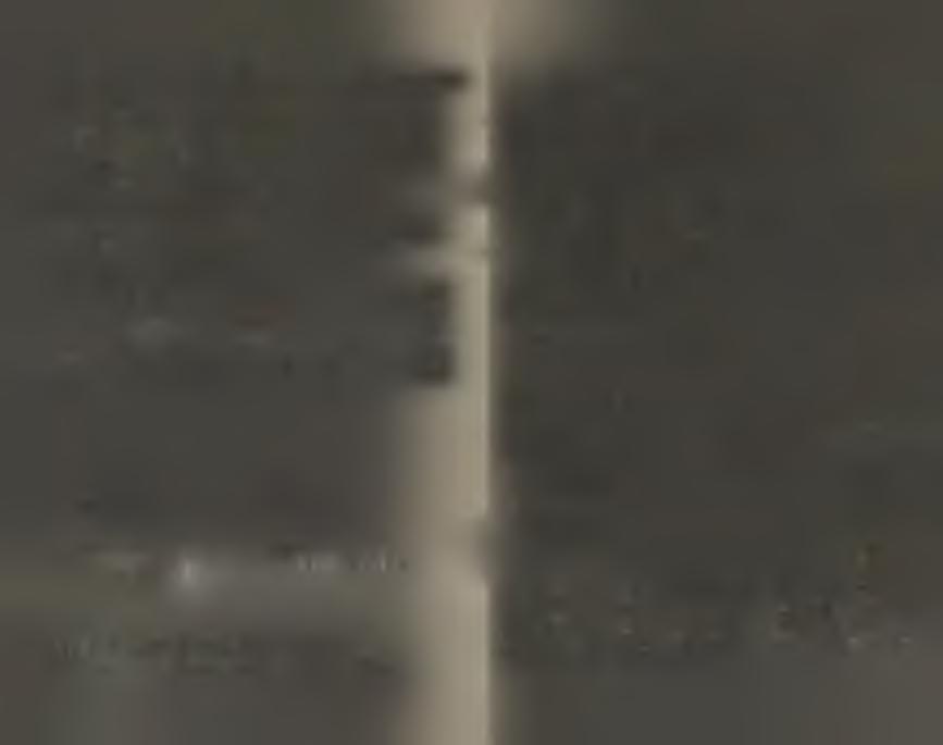 2) otrzymamy t / t, te [0,t), P P przemieszczeniowe równanie dynamiki pręta f0(t) = (t-t )/(t -t ), t [t,t ], r p r p r ( 6. 10) (X + 2p) u + 2(1 + 2m)u u - gna = 0, (x,t)«s(0,^)x(0,a>). (6.