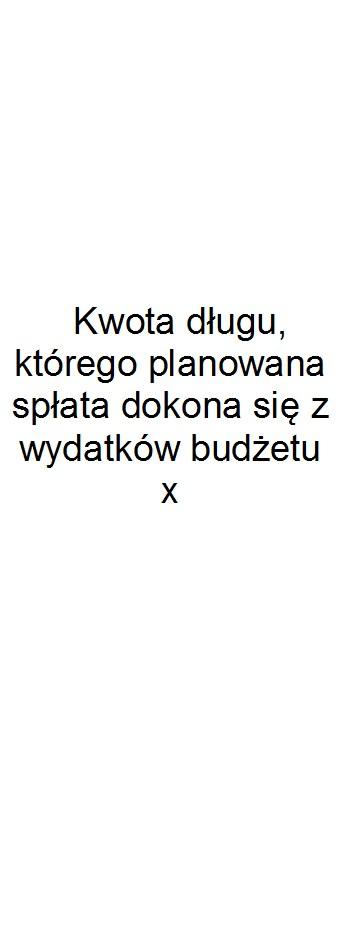 Dane uzupełniające o długu i jego spłacie Wyszczególnienie Lp 14.1 14.2 14.3 14.