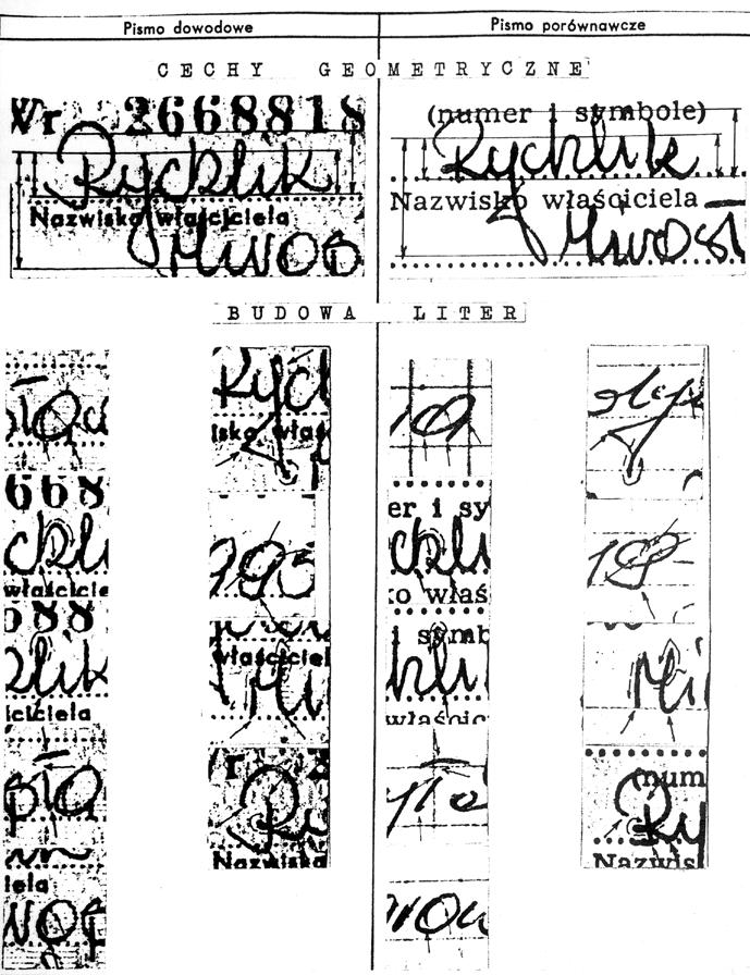 Załącznik Ilustracje 349 Ryc. 53.
