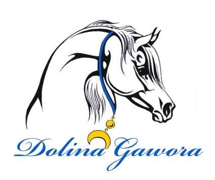 ZAWODY TOWARZYSKIE W SPORTOWYCH RAJDACH KONNYCH PROPOZYCJE 1. INFORMACJE OGÓLNE Nazwa zawodów: Zawody Towarzyskie Termin zawodów: 31.08-01.09.2018 r.