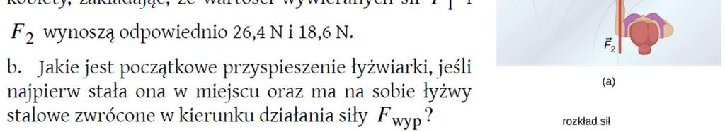 Jaką wartość prędkości v miał środek masy kafara w chwili, gdy młot kafara uderzał w słup?