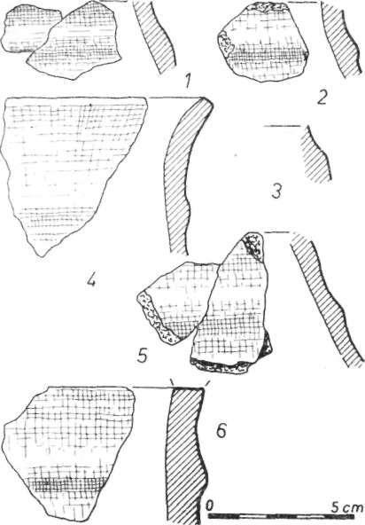 204 J. Czebreszuk 5. Rybiny, gm. Topólka, woj. włocławskie, stan. 14. Wybór ceramiki ze stanowiska względnej jest zgodna z wynikami datowania bezwzględnego metodą C 14 (1520 ± 80 b.c, Gd 2287).