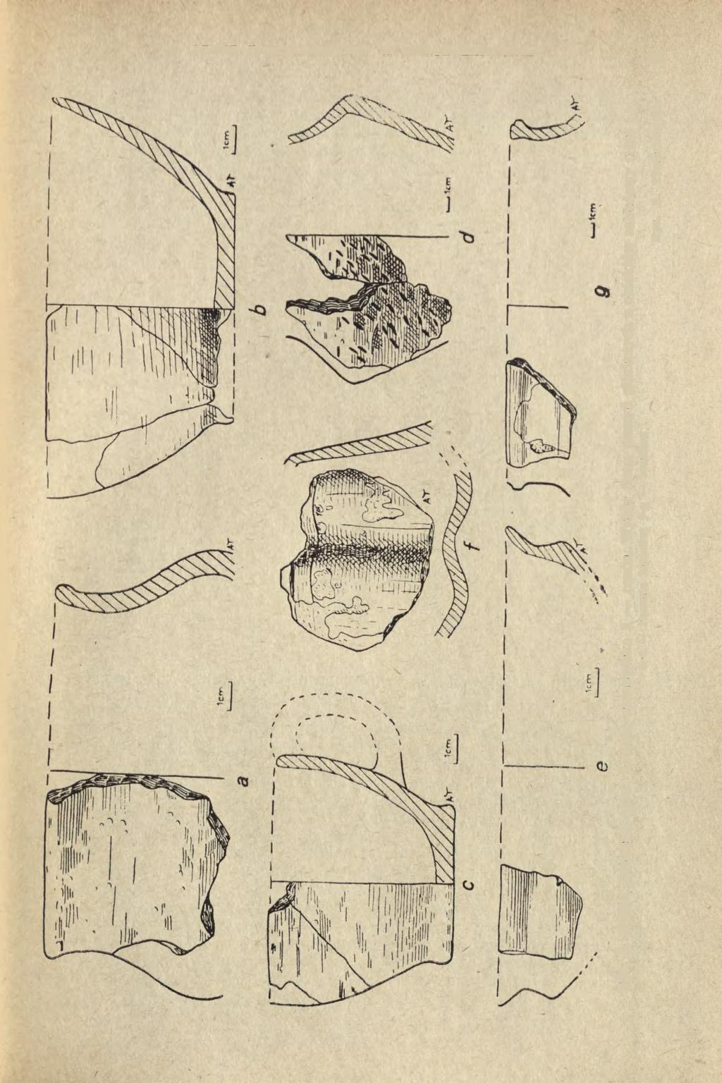 PRACE WYKOPALISKOWE W WÓLCE ŁASIECKIEJ 143 Ryc. 3.
