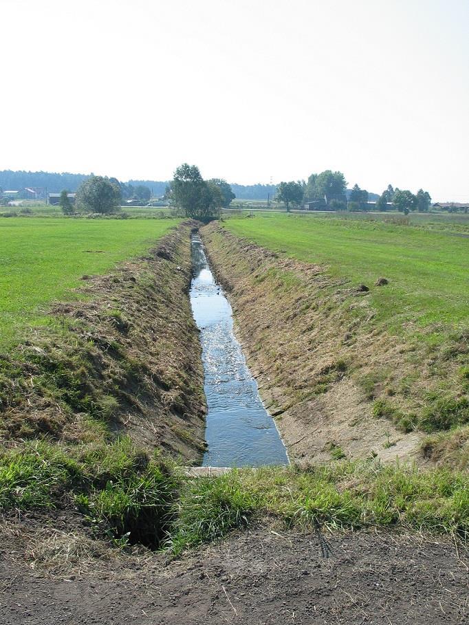 użytkowanych rolniczo Fot. D.