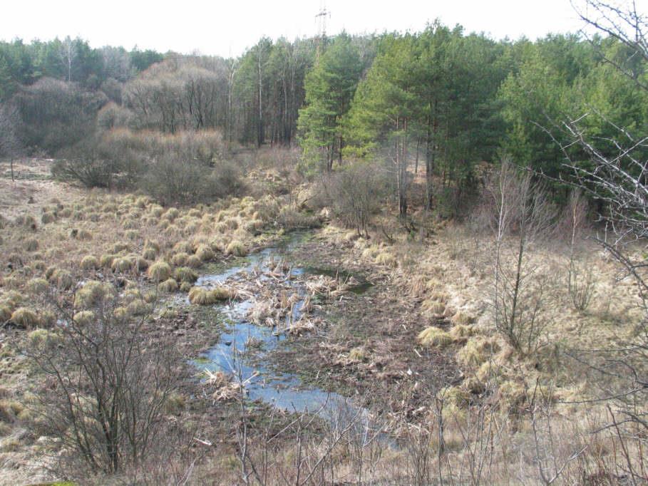 Dlaczego naturalnych rzek nie