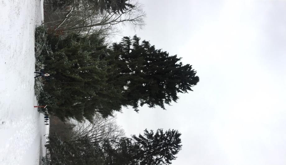 2. Białowieski Park Narodowy - park narodowy położony w