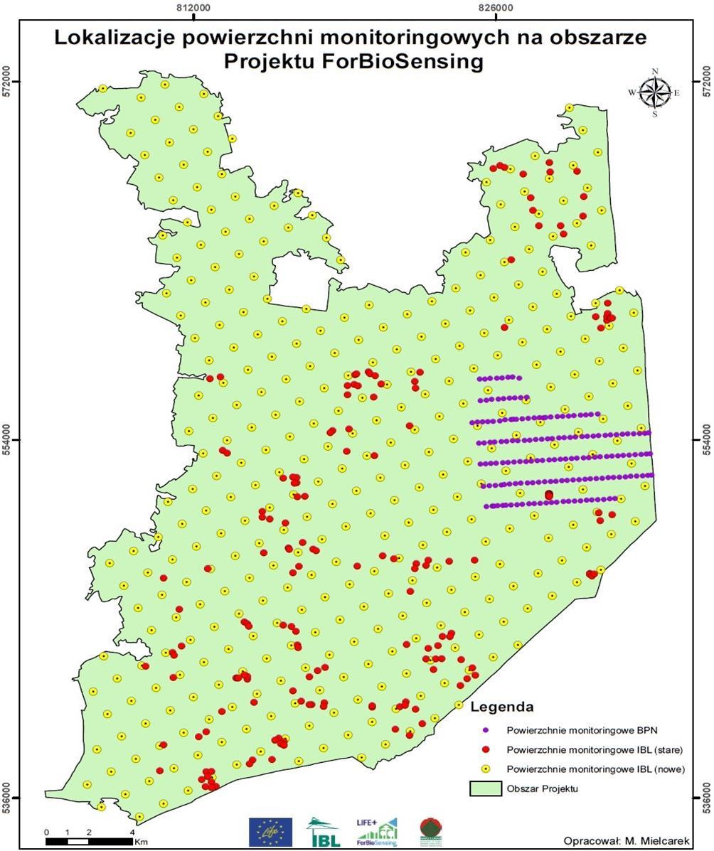 Udział (%) Rozmieszczenie i liczba powierzchni monitoringowych Kategorie ochronności Liczba Udział % Białowieski PN (ochrona ścisła) 19 27,7 Białowieski PN (ochrona częściowa) 42 6,1 rezerwaty