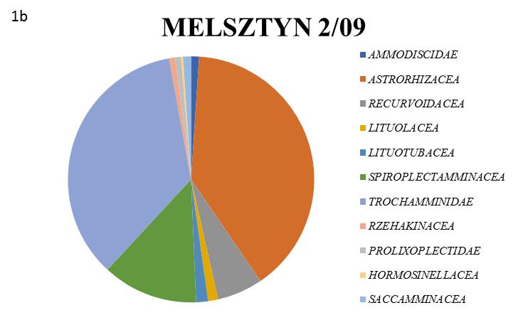 Biostratigraphy The foraminiferal assemblages are dominated by longranging and cosmopolitan forms typical for Cretaceous Paleogene time with only single forms possessing biostratigraphical value.