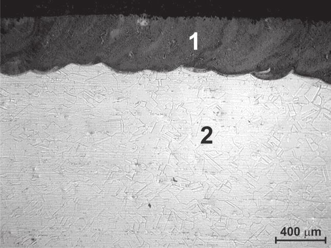 roughness of the sample, but it was not prepared before the wear test.