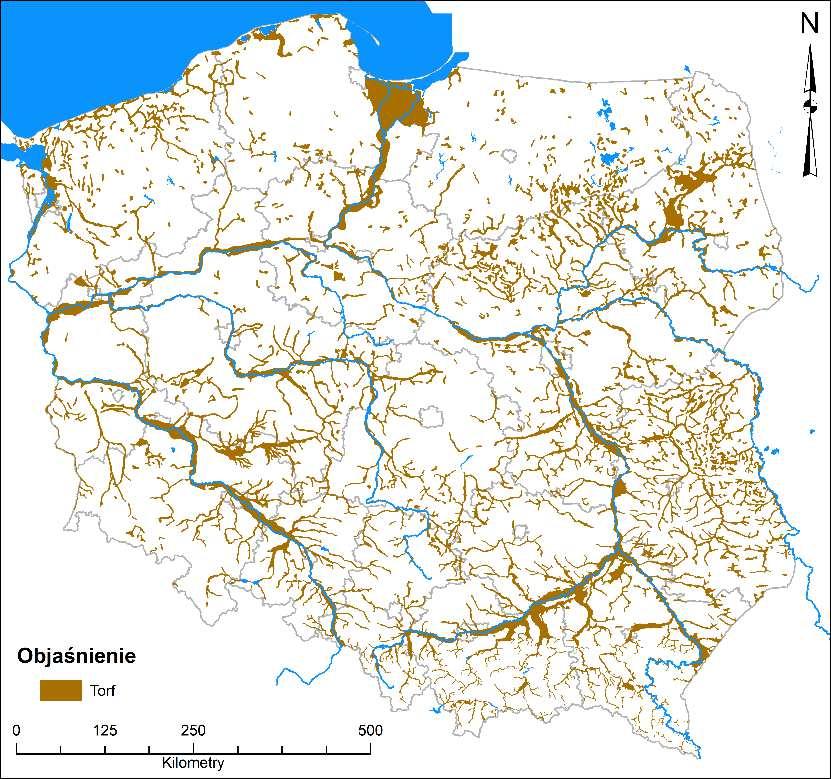 GEOTECHNIKA GRUNTY ORGANICZNE I OM >2% ORGANICZNE RZECZNE (O R ) -NAMUŁ (Nm) ORGANICZNE BAGIENNE (O S ) -TORF (T), WĘGIEL