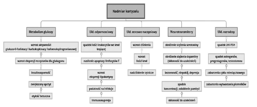 www.diagnostykalaboratoryjna.eu szenie ochronnego wpływu estrogenów na receptory w tkankach, takich jak wątroba, centralny układ nerwowy czy serce [9, 24, 25].