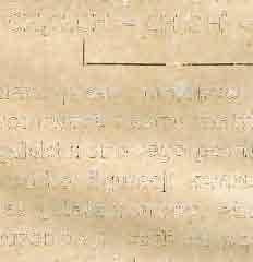 ,H s O, ; )n -f- n H 2 0 = nc c H 1 0 O 7. Metylując kwas galakturonowy, np.