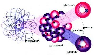 Zbudowane są z kwaków wiecących się w ich wnętzu (poton uud, neuton udd). Kwaki oddziałują silnie wymieniając między sobą tzw. gluony. Leptony Elektony są pzykładem tzw.