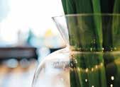 PEACE AND WELLNESS AT THE BALTIC SEA Holidays on the Amber Coast can have a great impact on your body and spirit.