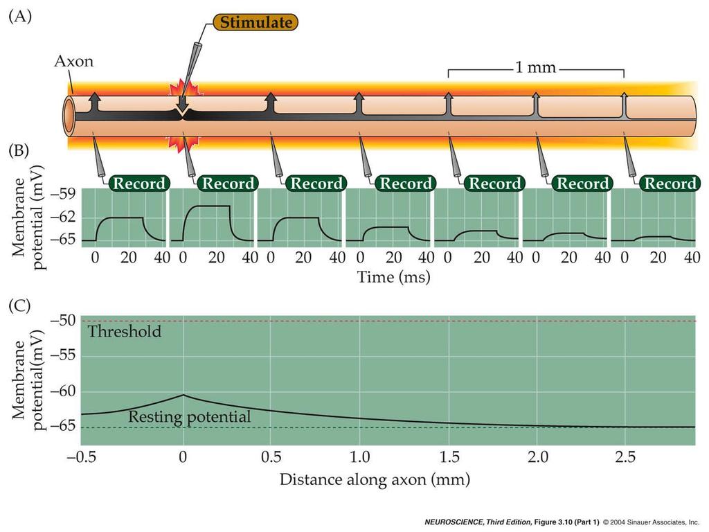 3.10 Passive current