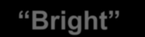 Bright ale
