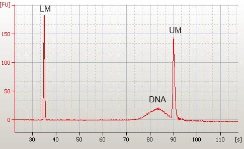 96 M. Gorzkiewicz, A. Duleba, E. Rychlicka et al. a e b f c Fig. 2e and f. Reproducibility of elec tro pho retic anal y sis.