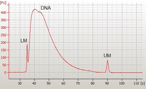 STR mark ers (in the case of high amounts of DNA), or whether it is nec es sary to per form RT PCR (in the case of no de tec tion of DNA based on chip elec - tro pho re sis data); The 2100